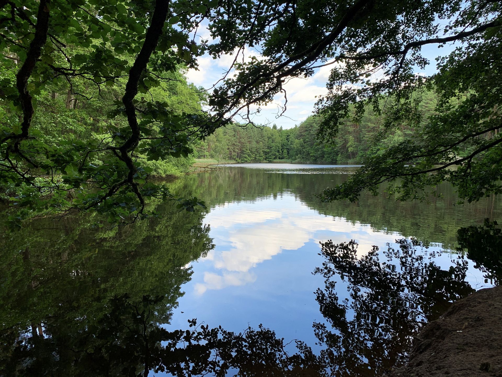 Mönchssee beim Semberg · Kreis Bamberg