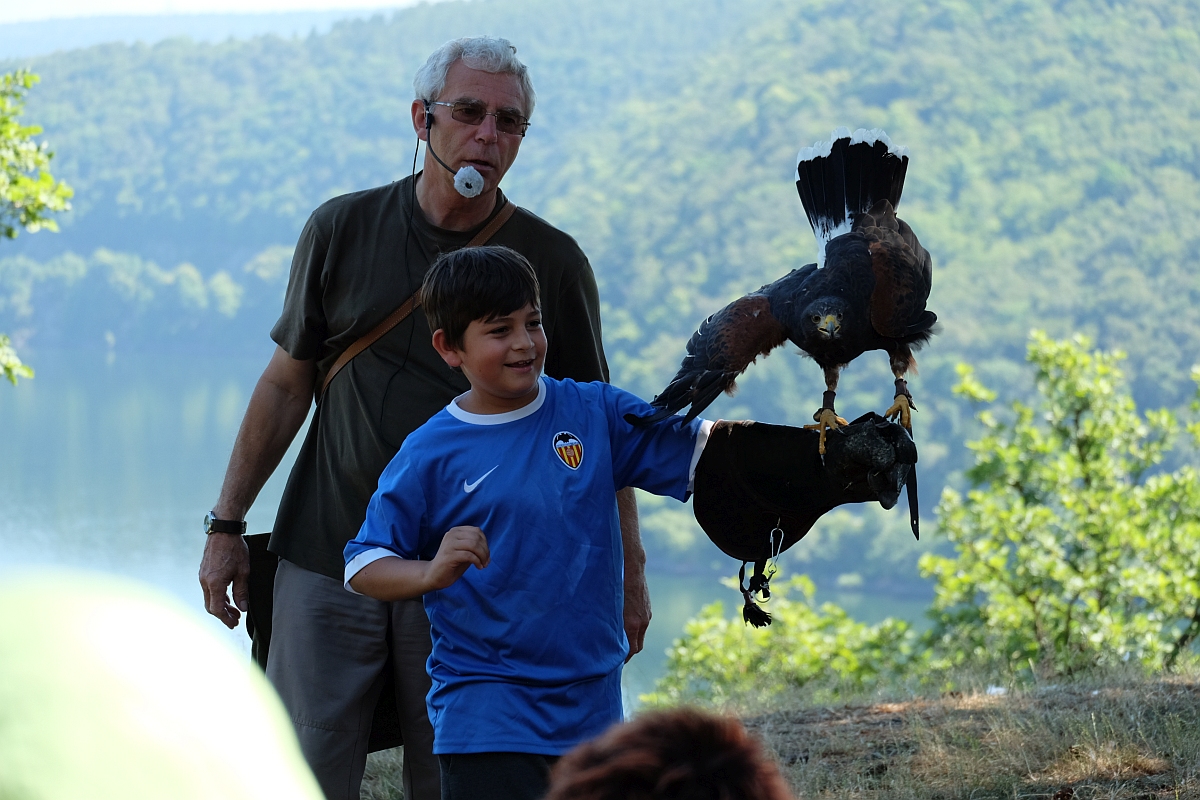 Edersee · Freiflugschau im Wildtierpark