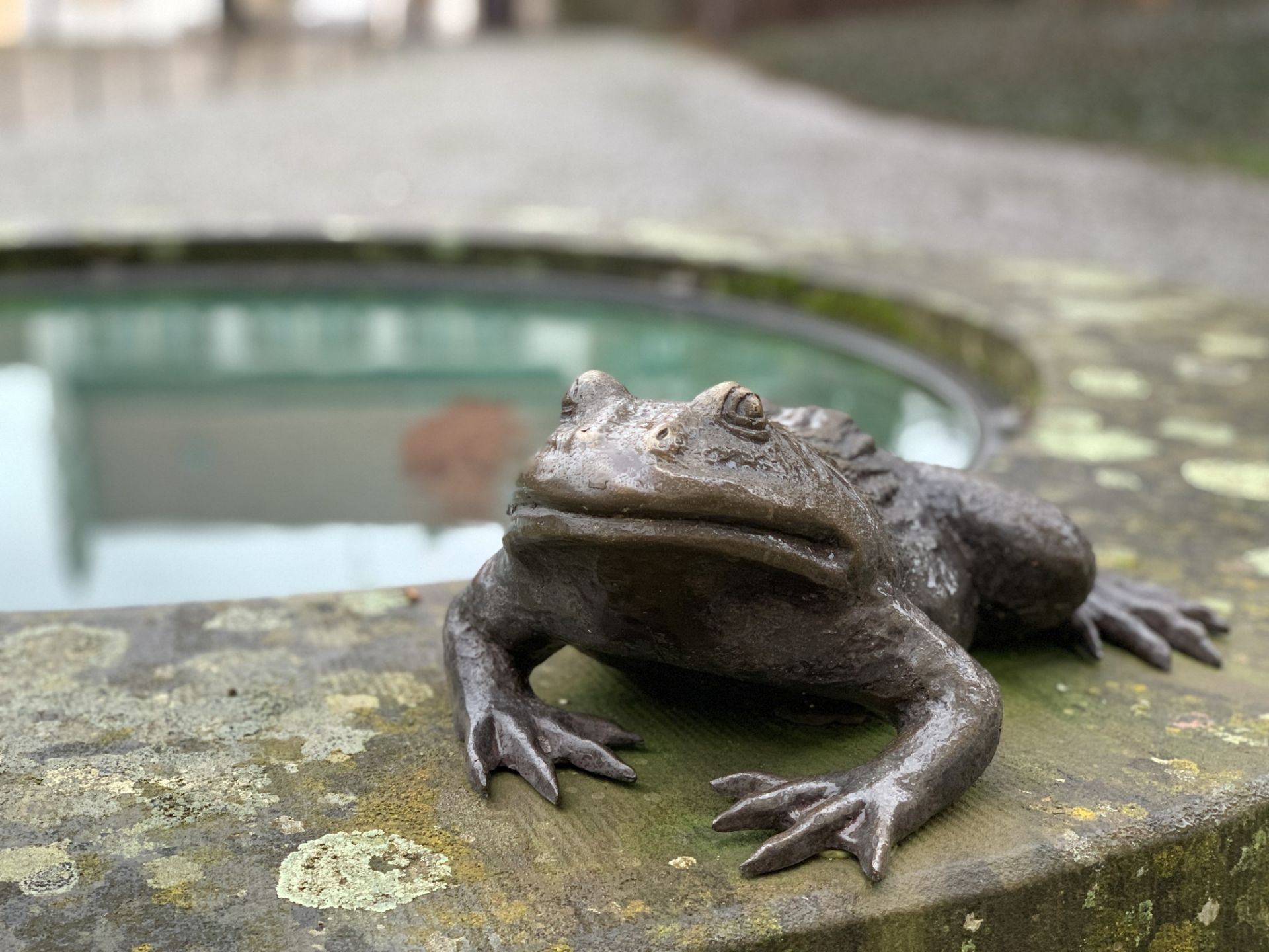 Kloster Schöntal · 2021 · Frosch am Brunnenrand